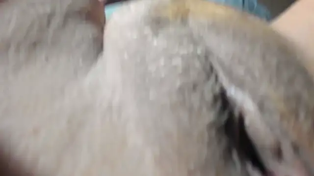 FrumCake online show from 12/27/24, 01:11