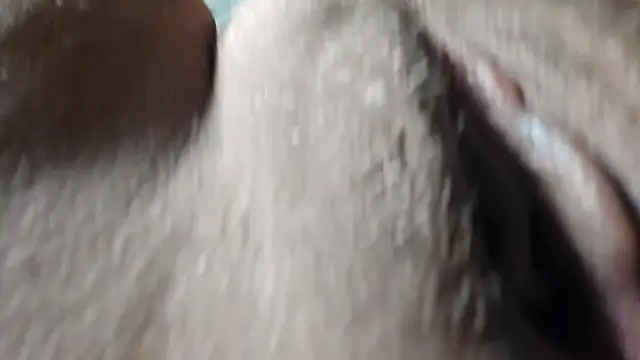 FrumCake online show from 01/27/25, 01:26