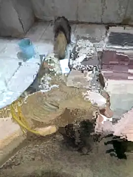 My120my120 online show from 12/19/25, 11:56