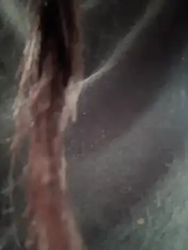   IRIS   online show from 02/14/25, 04:31