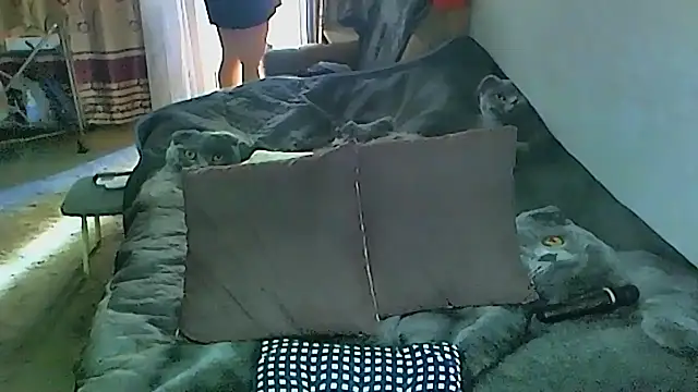 sex2 online show from 09/27/25, 01:54