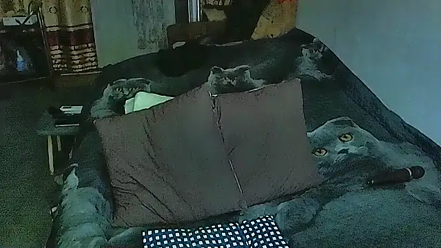 sex2 online show from 09/29/25, 05:40