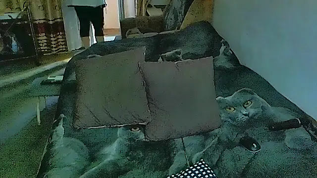 sex2 online show from 11/17/25, 07:36