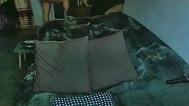 sex2 online show from 02/28/26, 11:06