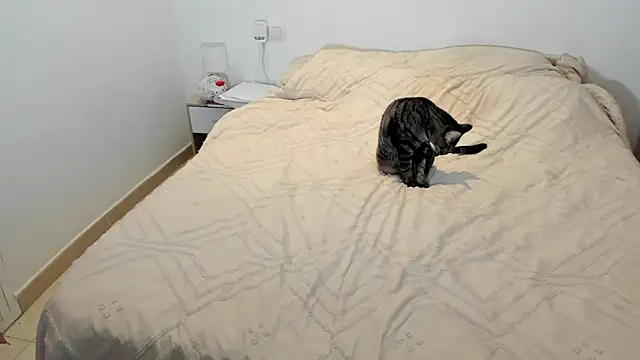 MariaMeir online show from 01/10/26, 10:25