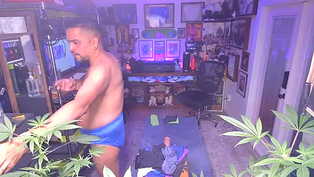 Snapshot of Briefs_bud chatting on 12/16/24, 03:19 Briefs bud online show from 12/16/24, 03:19