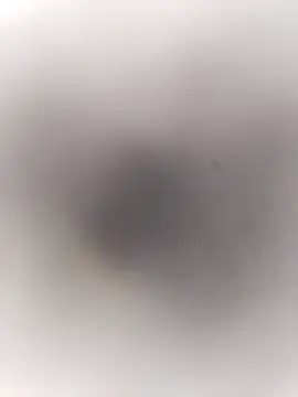 Pitercom online show from 09/20/25, 03:46