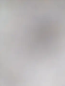 Pitercom online show from 11/16/25, 09:53