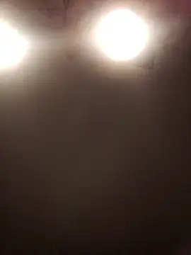 lilianashemale online show from 11/01/25, 03:08