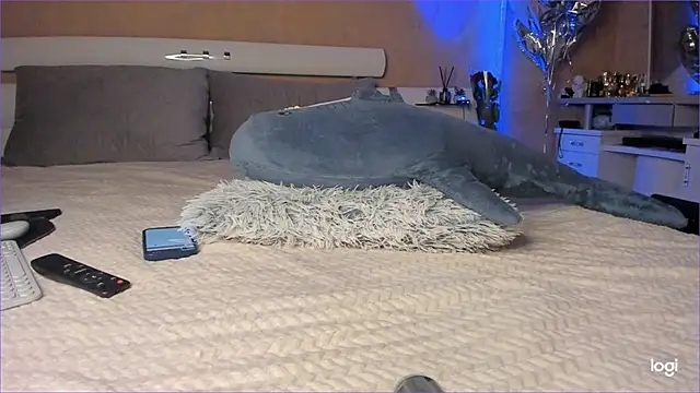 Diamond D  online show from 10/16/25, 05:03