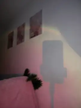 DulceLenns online show from 01/11/26, 06:46