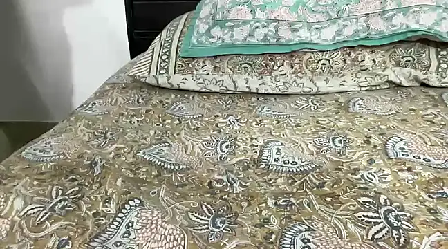 Snapshot of Greekartsguru chatting on 12/29/24, 11:29 Greekartsguru online show from 12/29/24, 11:29