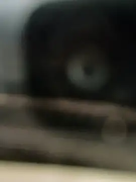 hornydick4you online show from 03/02/25, 10:56