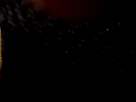 BIG-CkD F online show from 04/27/26, 08:07