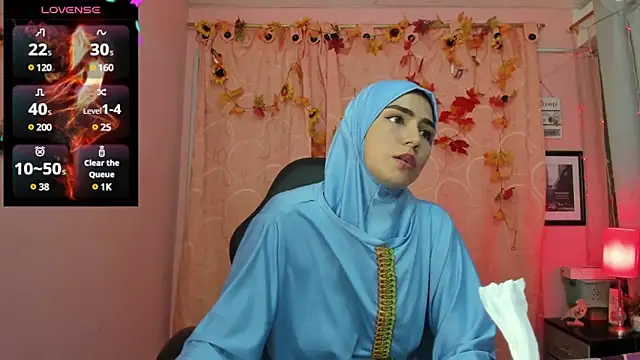 Snapshot of DarshaKhemu chatting on 12/17/24, 08:21 DarshaKhemu online show from 12/17/24, 08:21