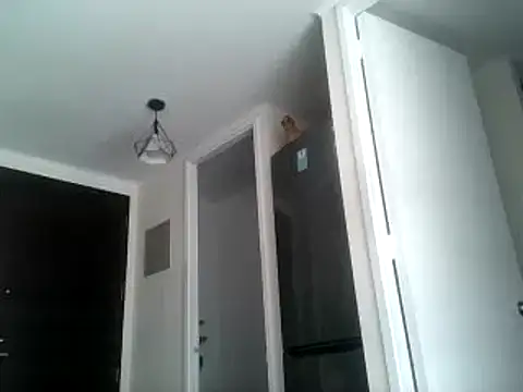 PenelopeSx online show from 12/29/24, 01:06