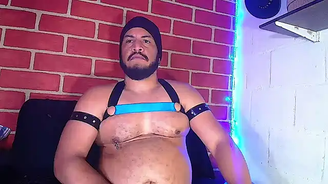 the master foal  online show from 01/08/25, 04:11