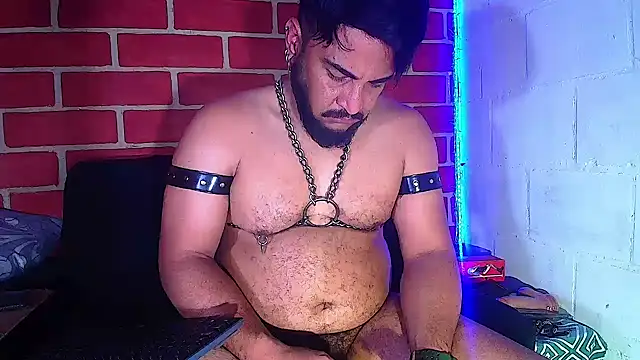 the master foal  online show from 01/28/25, 08:36