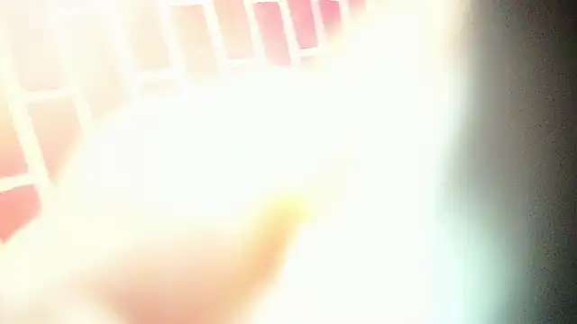 the master foal  online show from 03/06/25, 04:19