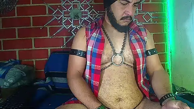 the master foal  online show from 03/18/25, 07:52