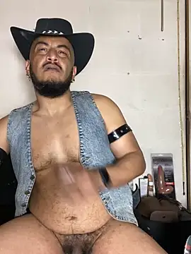 the master foal  online show from 02/02/26, 12:53