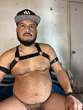 the master foal  online show from 05/16/26, 11:53