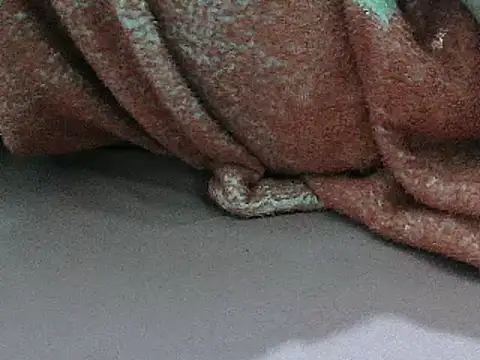 FUN4TIPS online show from 03/01/25, 07:26