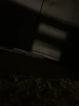 JotaCe2022 online show from 04/23/26, 09:39