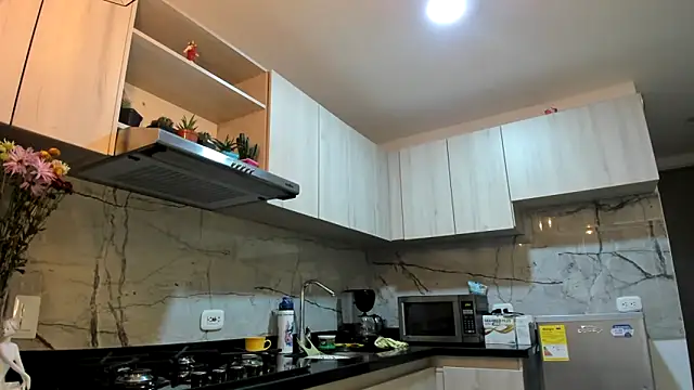 ashleymilf 1 online show from 03/03/25, 06:44