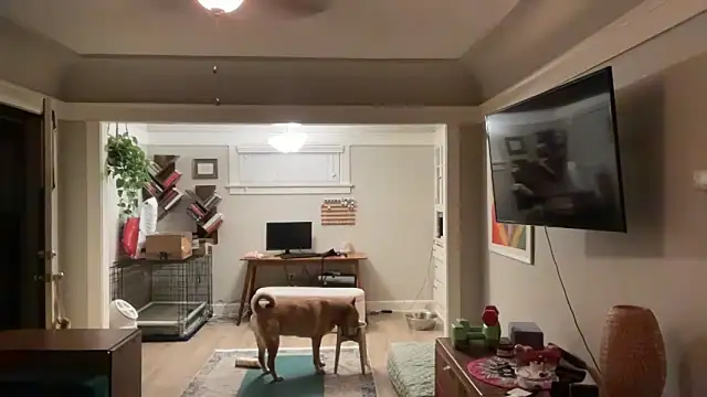 dreamyriri online show from 03/15/26, 01:06