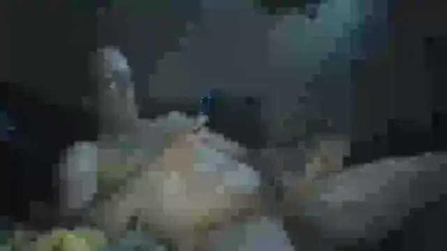 Snapshot of Wyley@xh chatting on 09/23/25, 08:28 Wyleyxh online show from 09/23/25, 08:28