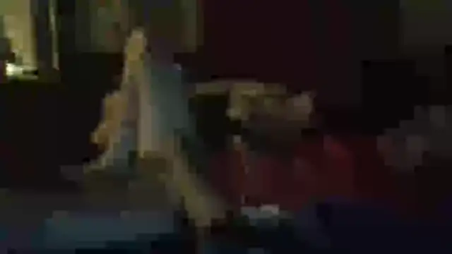 Wyleyxh online show from 11/11/25, 11:43