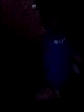 Wyleyxh online show from 11/30/25, 08:07