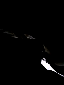 74bob online show from 09/21/25, 04:25