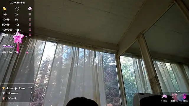 PixieLand online show from 01/29/25, 11:41