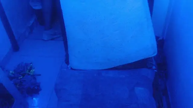 Snapshot of selenax2023 chatting on 02/02/26, 11:03 selenax2023 online show from 02/02/26, 11:03