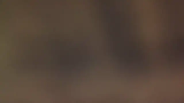 leccaleccafiga online show from 03/07/26, 10:40