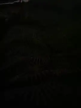 Snapshot of bomakrn chatting on 11/03/25, 10:38 bomakrn online show from 11/03/25, 10:38