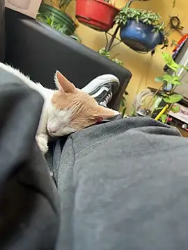 Snapshot of Lilmarieee chatting on 02/24/25, 04:15 Lilmarieee online show from 02/24/25, 04:15