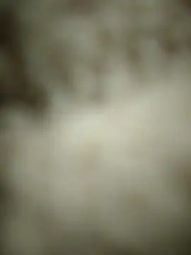 landy20cm online show from 05/14/26, 08:21