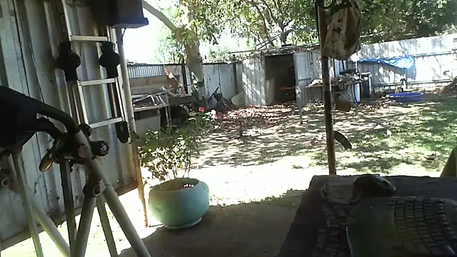 herbie010666 online show from 11/06/25, 04:24