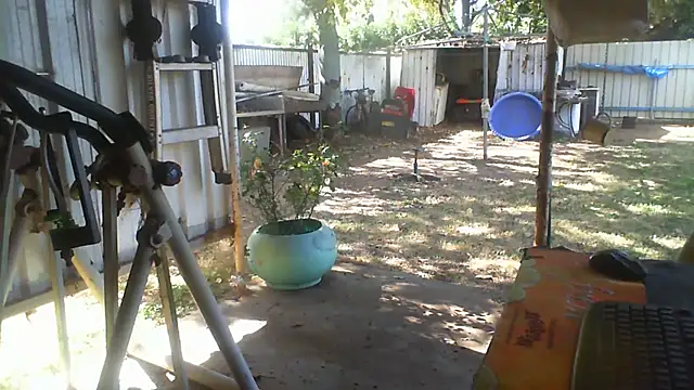 herbie010666 online show from 08/07/26, 04:03