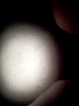 Snapshot of commonjust chatting on 11/26/25, 05:19 commonjust online show from 11/26/25, 05:19