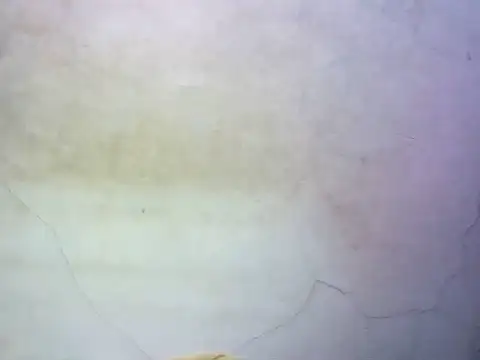 wet babexxx online show from 10/09/25, 10:30