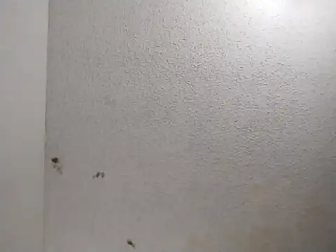 247Srokin online show from 04/01/26, 11:00