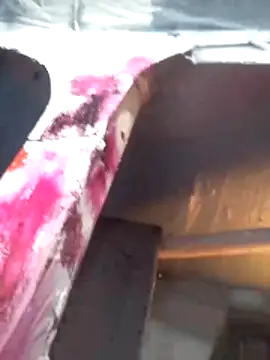 Wero4200 online show from 03/02/26, 08:37