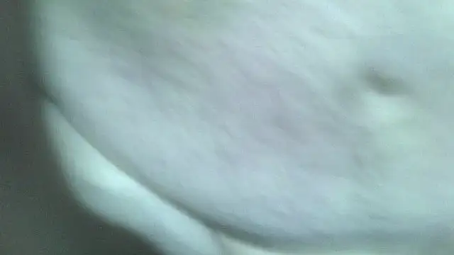 fishhead2100 online show from 12/16/25, 07:24