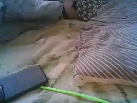 xsexy on91 online show from 12/05/25, 07:50