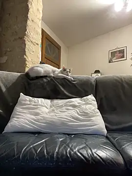 steph19x5 online show from 03/14/26, 06:19