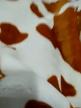 naghmi12 online show from 04/18/26, 01:04